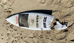 Severed Leg from Shark Attack Washes Ashore-3