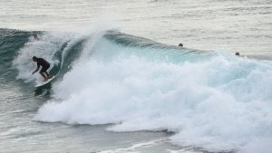 Severed Leg from Shark Attack Washes Ashore-2